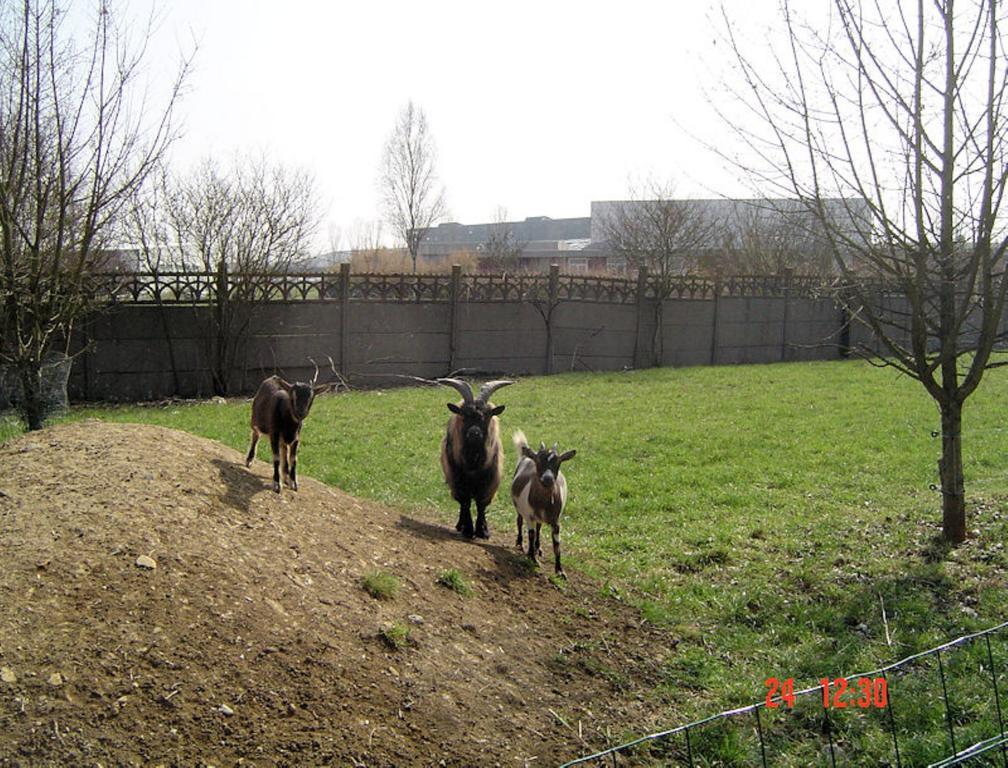 Aux Plumes De Grigy Bed & Breakfast Metz Dış mekan fotoğraf